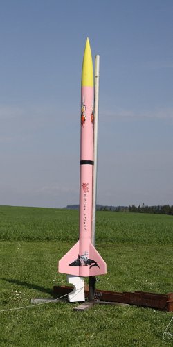 2013 Svojek Mirek Topinka